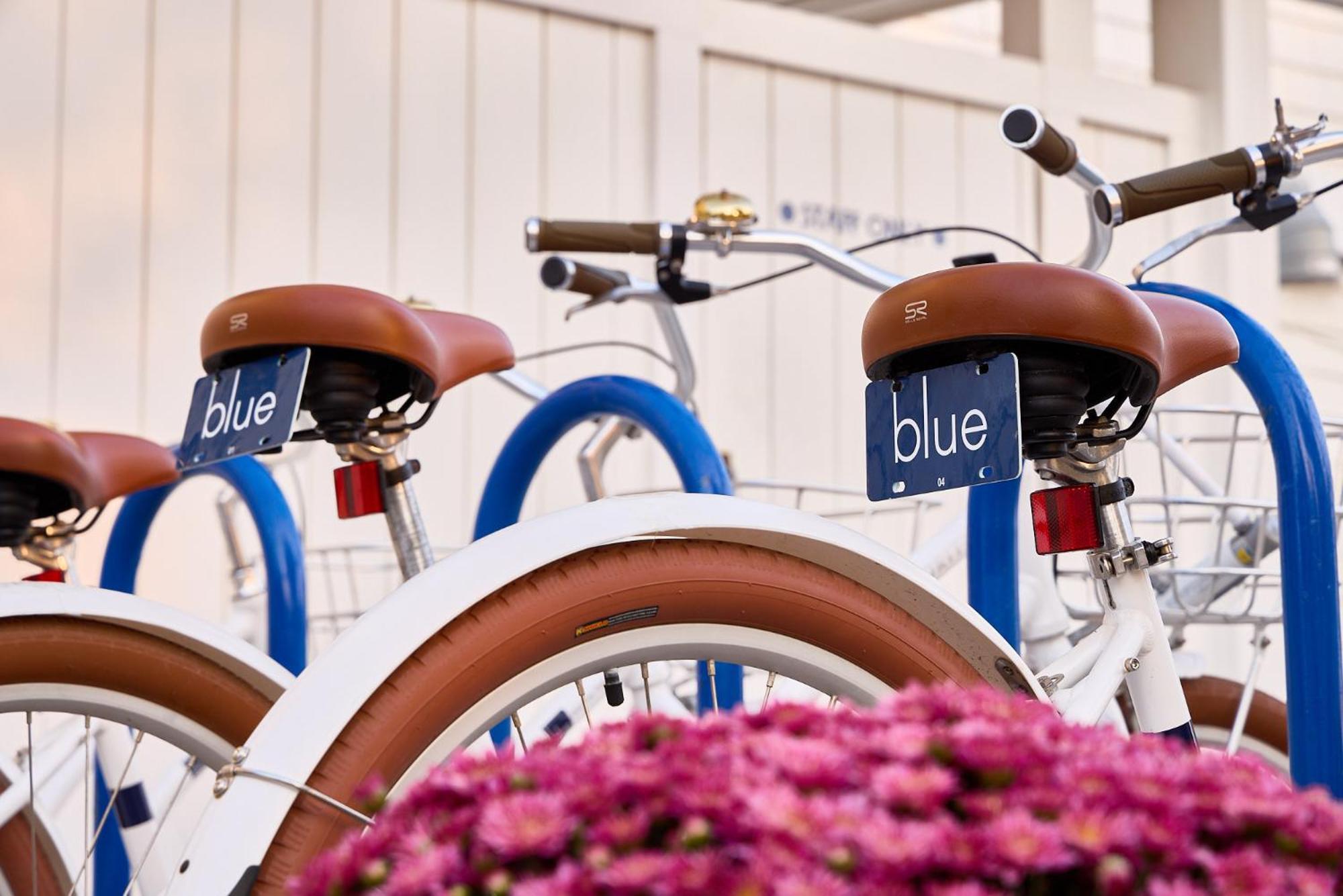 Blue - Inn On The Beach ニューベリーポート エクステリア 写真